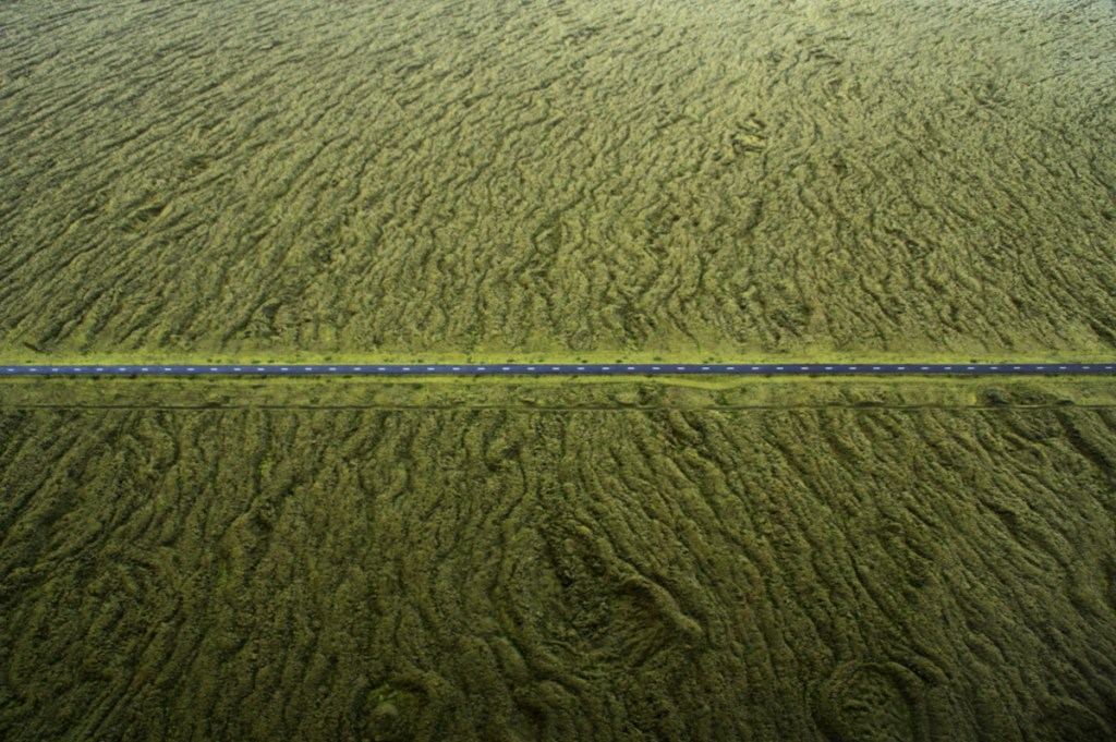 Lichen Islandicus II